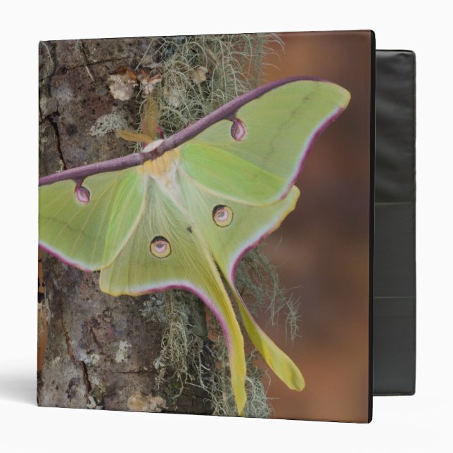 Luna Silk Moth Binder (Front/Inside)