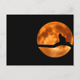 Lunar cat - Postcard