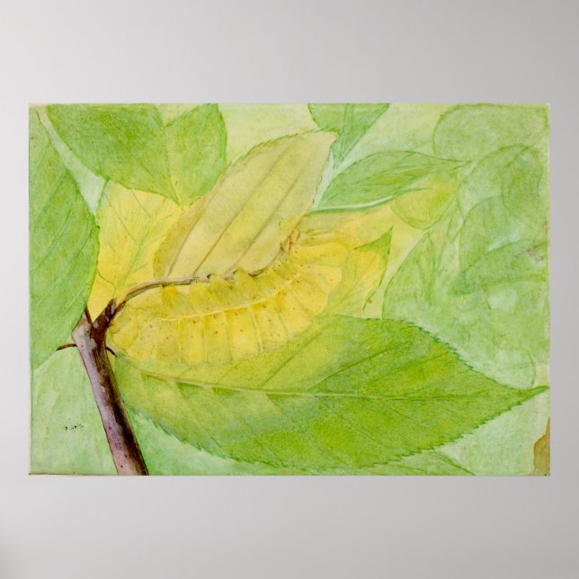 Lunar Caterpillar Art – Abbott Thayer Poster (Front)