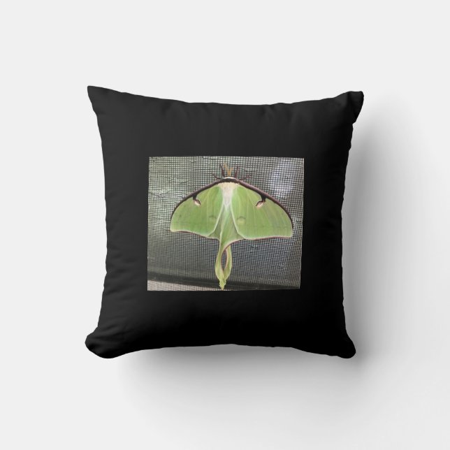 Lunar Moth  Throw Pillow (Front)
