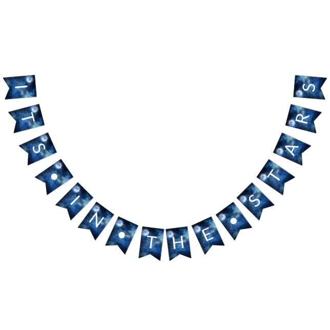 Lunar Sky Full Moon It's In the Stars  Wedding Bunting Flags (All)