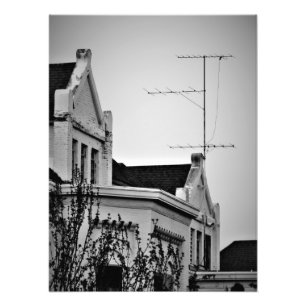 "Lunatic Fringe" Photo Print