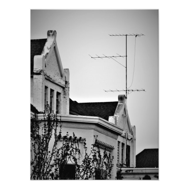 "Lunatic Fringe" Photo Print (Front)