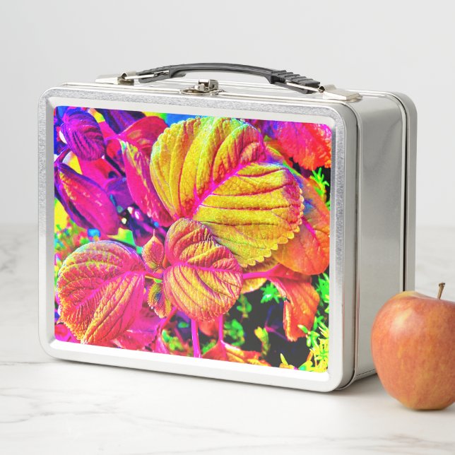 lunch box (In Situ)