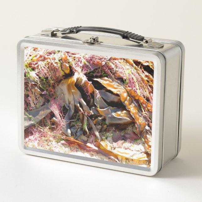 LUNCH BOX ALGUES (Devant)