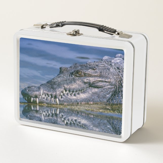 Lunch Box Alligator (Devant)