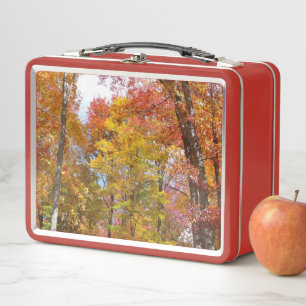 Lunch Box Arbres d'automne orange et jaune Photographie d'au