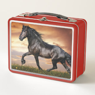 Lunch Box Beau Cheval Noir