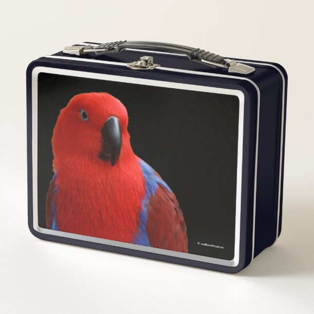 Lunch Box Belle "Dame en rouge" Eclectus Parrot (Devant)