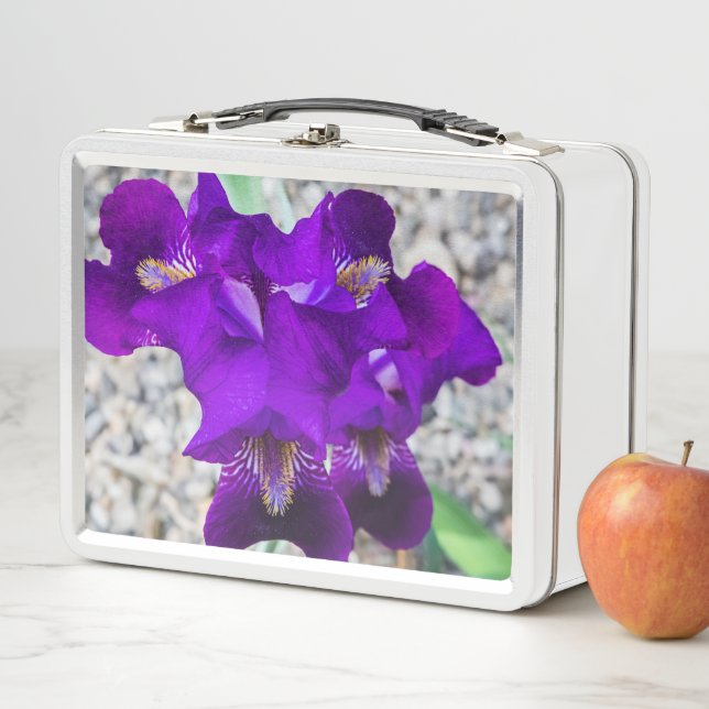 Lunch Box Belle iris violet (En situation)