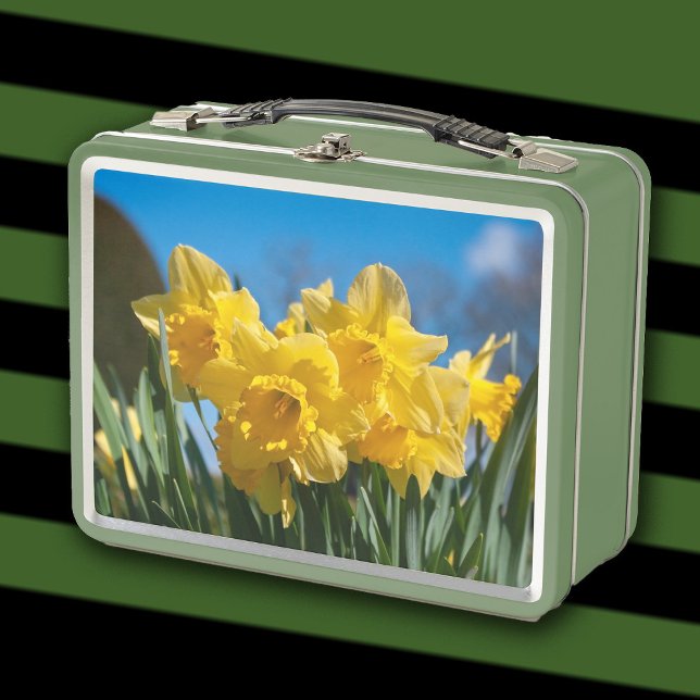 Lunch Box Belles Daffodiles Jaunes (Créateur téléchargé)