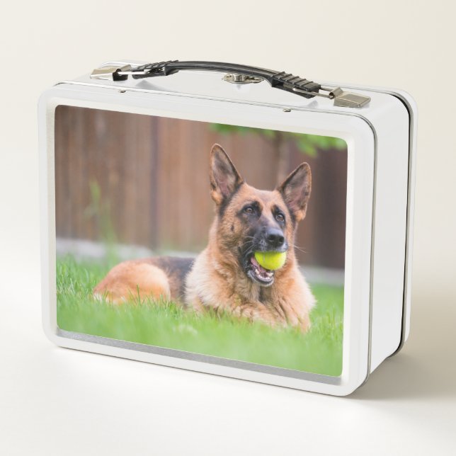 Lunch Box Berger Allemand Avec Bal De Tennis (Dos)