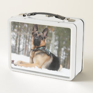 Lunch Box Berger Allemand En Neige