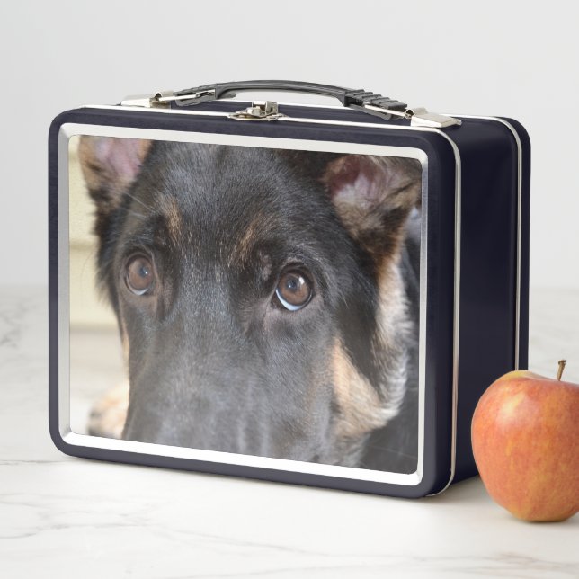 Lunch Box berger allemand par Shirley Taylor (En situation)
