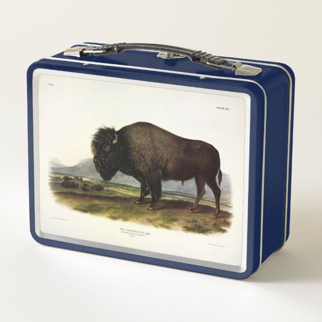 Lunch Box Bison américain, ou bison (bison) - Audubon (Dos)
