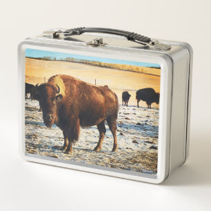 Lunch Box Boîte à lunch de bison
