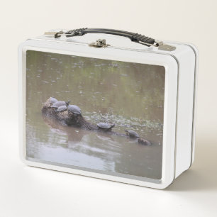 Lunch Box Boîte à lunch de tortue