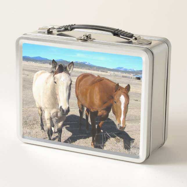 Lunch Box Boîte à lunch pour les chevaux (Devant)