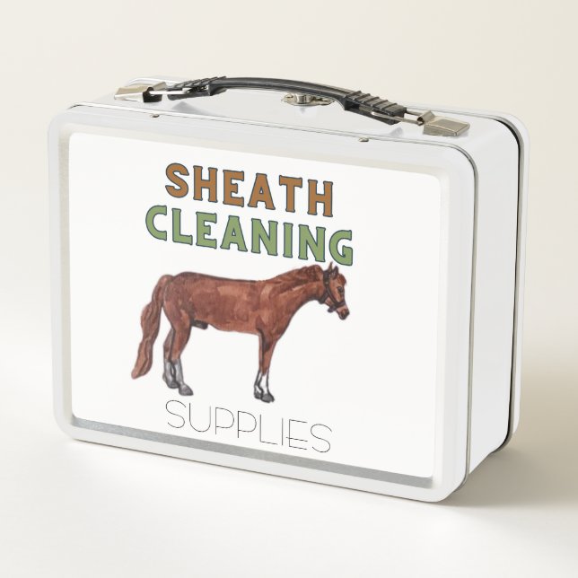 Lunch Box boîte de fournitures de nettoyage de gaine (Dos)