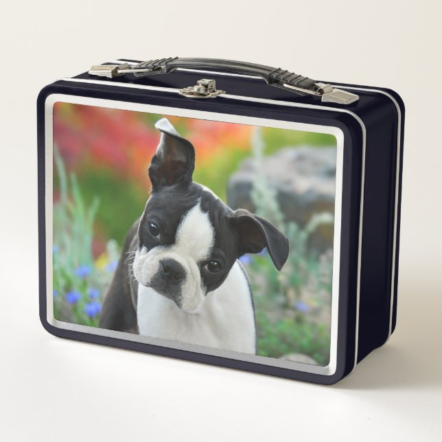 Lunch Box Boston Terrier Dog Cute Puppy Animal Head Photo .. (Devant)