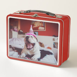 Lunch Box Bouledogue britannique des images   de Getty