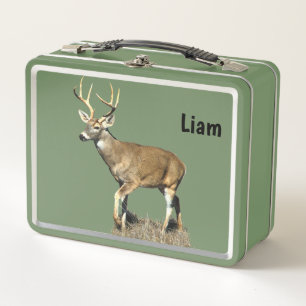 Lunch Box Buck White Tailed