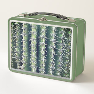 Lunch Box Cactus