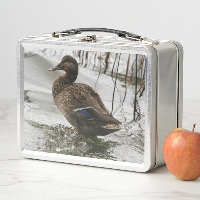 Lunch Box Canard gris sur la nuit du lac (En situation)
