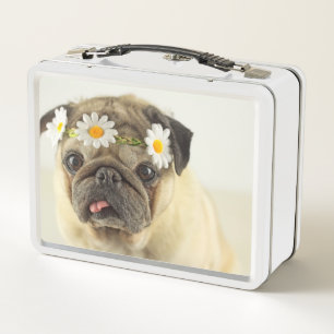 Lunch Box Carlin avec couronne de marguerite