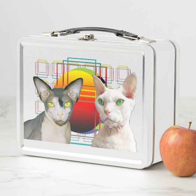 Lunch Box Chat Ninja Devon Rex Casper de Sphynx (En situation)