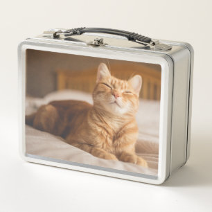 Lunch Box Chat somnolent des images de Getty