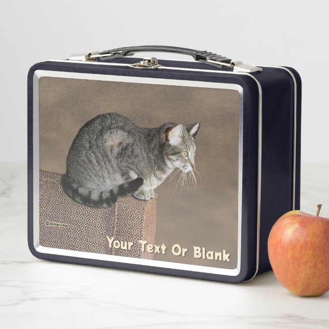 Lunch Box Chat Tabby Gris Fumé (En situation)