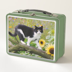 Lunch Box Chat tuxedo mignon sur une branche d'arbre avec de