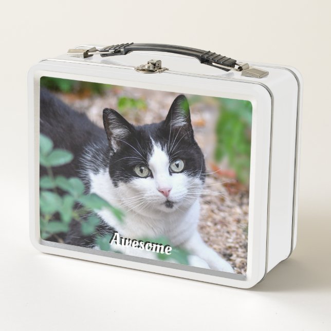 Lunch Box Chat Tuxedo noir et blanc Photo personnalisée (Devant)