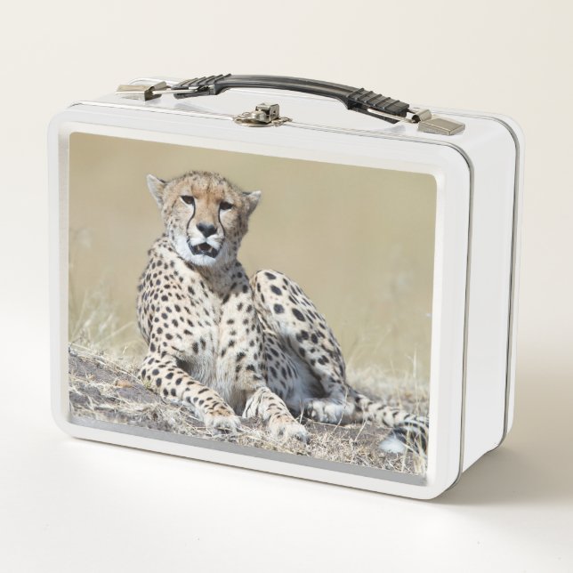 Lunch Box Cheetah (Devant)