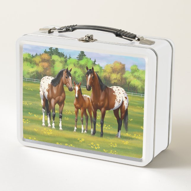 Lunch Box Chevaux Appaloosa De Baie Brown En Pâturage D'Été (Devant)