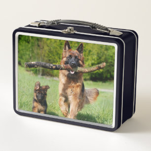 Lunch Box Chien berger allemand à longue chair et chiot