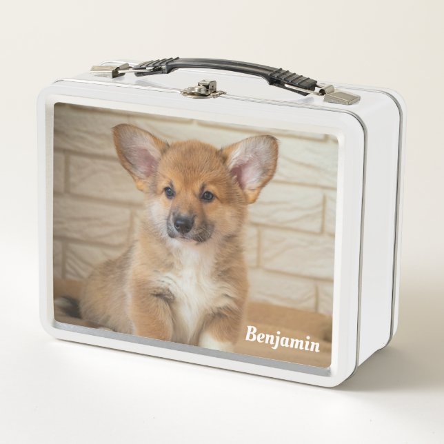Lunch Box Chien de Corgi (Devant)