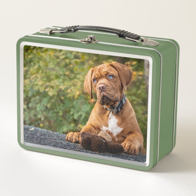 Lunch Box Chien mignon (Devant)