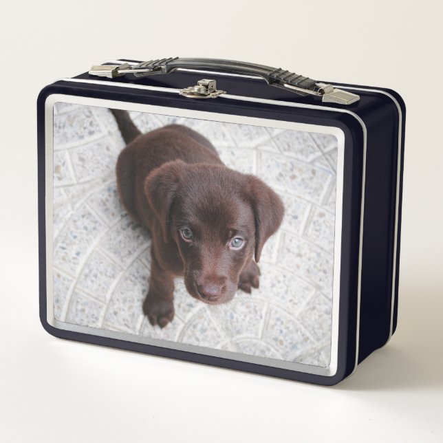 Lunch Box Chiot de laboratoire Brown (Devant)