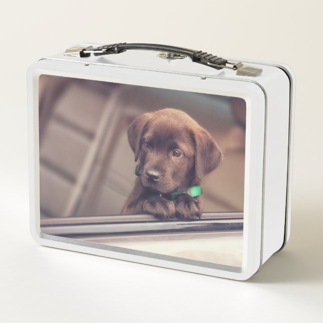 Lunch Box Chocolat Labrador Puppy In Car (Dos)
