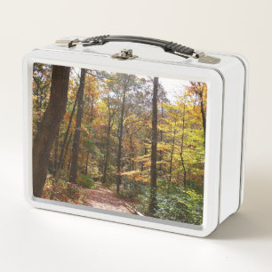 Lunch Box Chute Sunlit dans le parc national de Laurel Hill