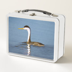 Lunch Box Clark's Grebe Painting - Art original pour les ois