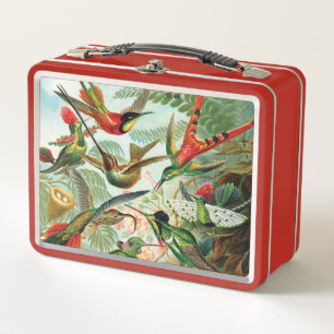 Lunch Box Colibris par Ernst Haeckel
