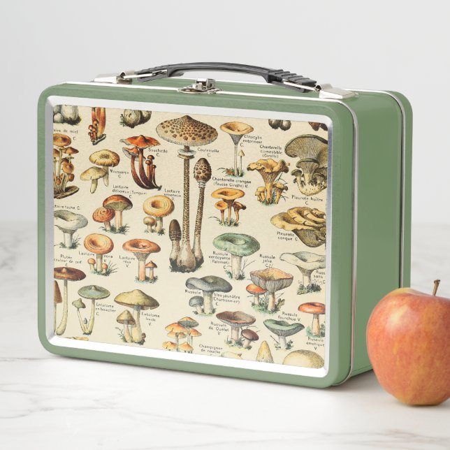 Lunch Box Collection de champignons (En situation)