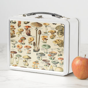 Lunch Box Collection de champignons  