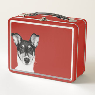 Lunch Box Collie