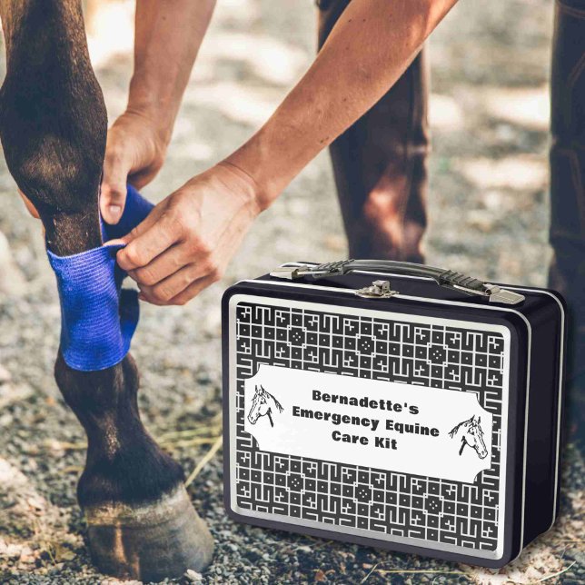 Lunch Box Conteneur d'urgence sur mesure de premiers soins (Créateur téléchargé)