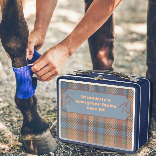 Lunch Box Conteneur d'urgence sur mesure de premiers soins (Créateur téléchargé)