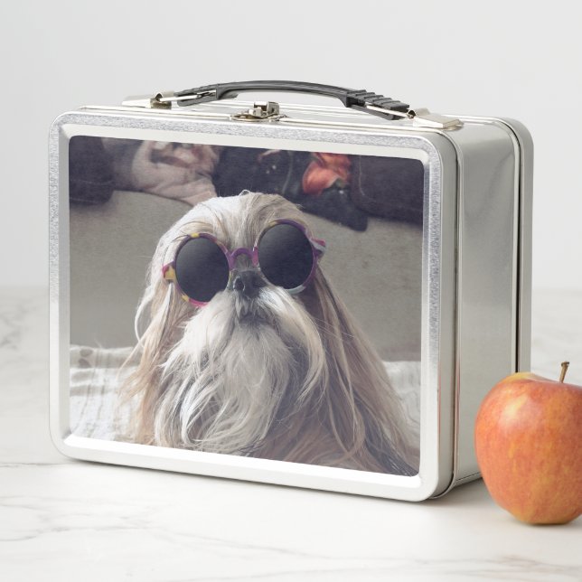 Lunch Box Cool Shih Tzu cheveux longs Lunettes de soleil vin (En situation)